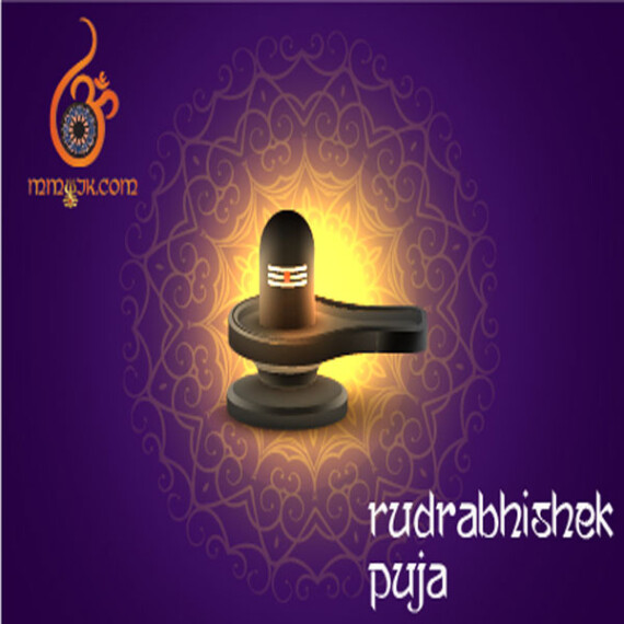 https://vaidicpuja.com/products/laghu-rudra-puja